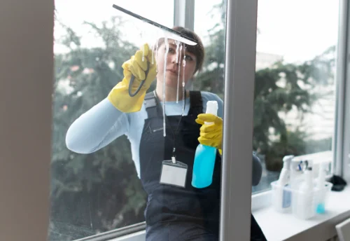 Nettoyage de vitres intérieures et extérieures au Chay
